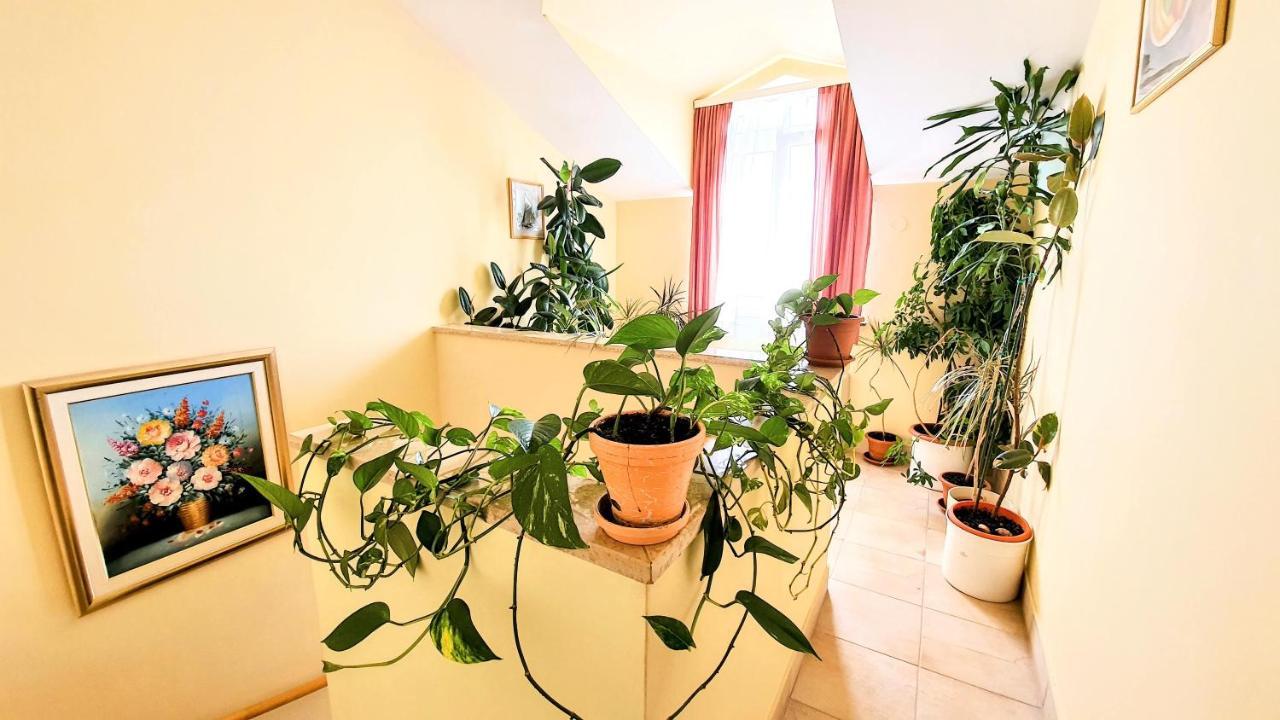 Villa Palcic 诺瓦利娅 外观 照片